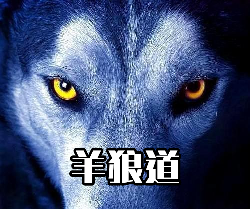 羊狼道金融操作學院